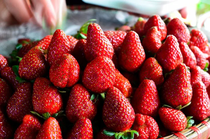 Baguio's Strawberry, Philippines