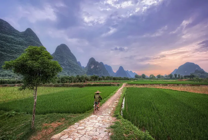 Cyclist In Asia