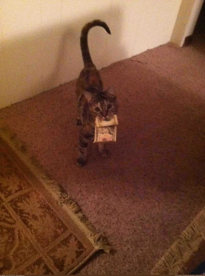 Не пожалеете