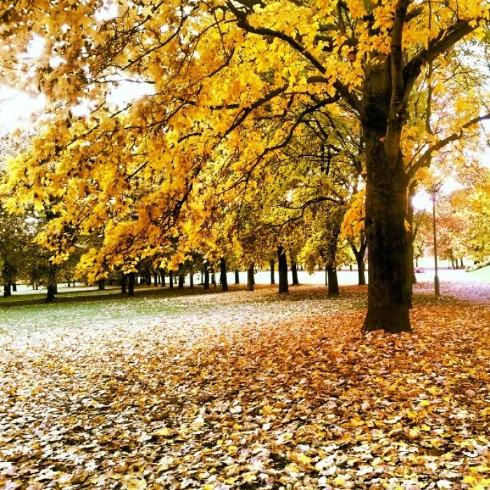 Autumn