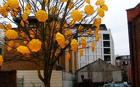 Share The Most Beautiful Street Art Installations
