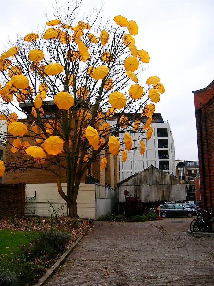 Umbrella Tree By Sam Spencer