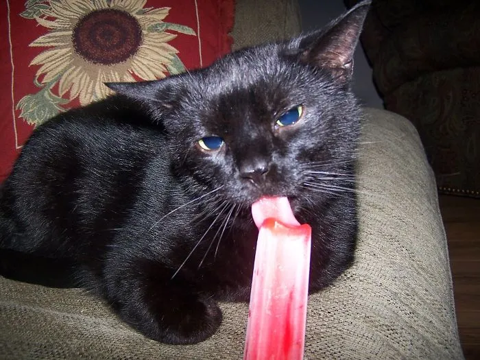Mr. Boo Boo And His Popsicle