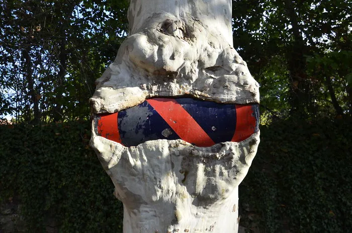 Street Sign Swallowed By Tree
