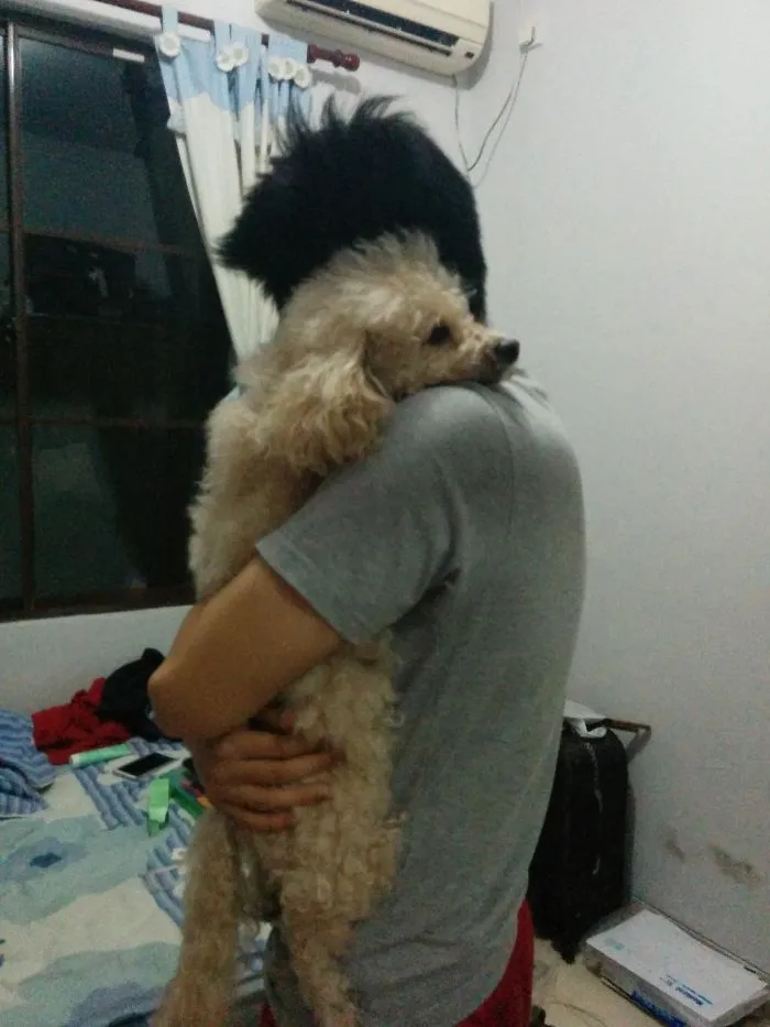 Just Me & My Dog