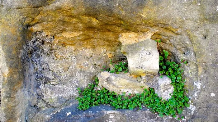 Weed In The Wall
