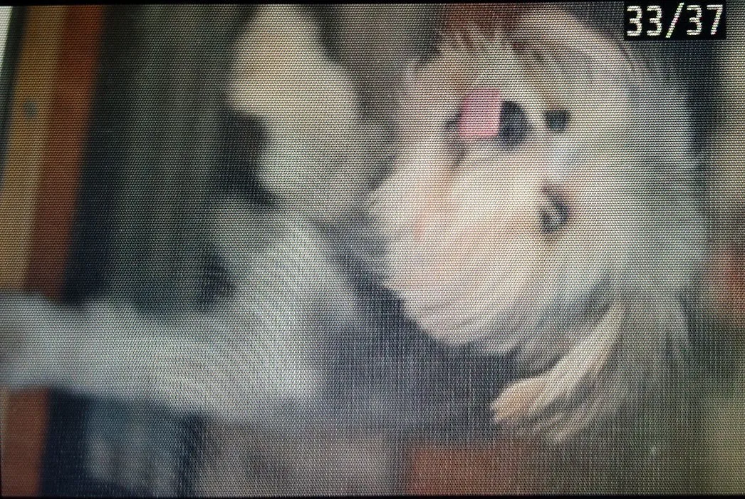 Thor