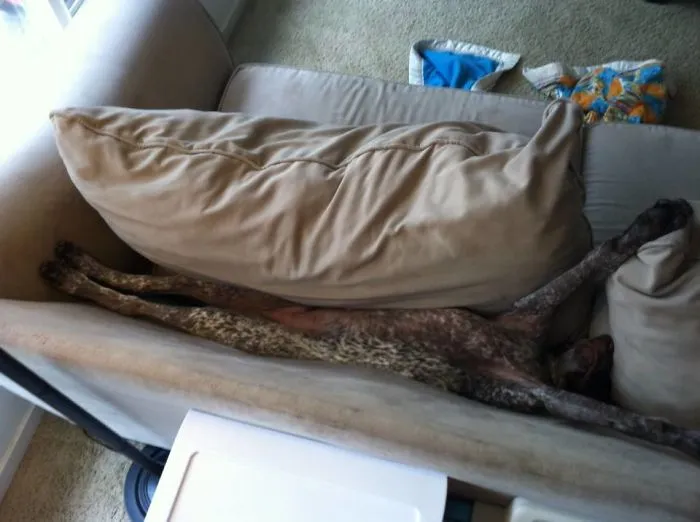 All Stretched Out - Barley