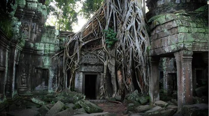 Ta Phrom Temple...siam Reap,cambodia