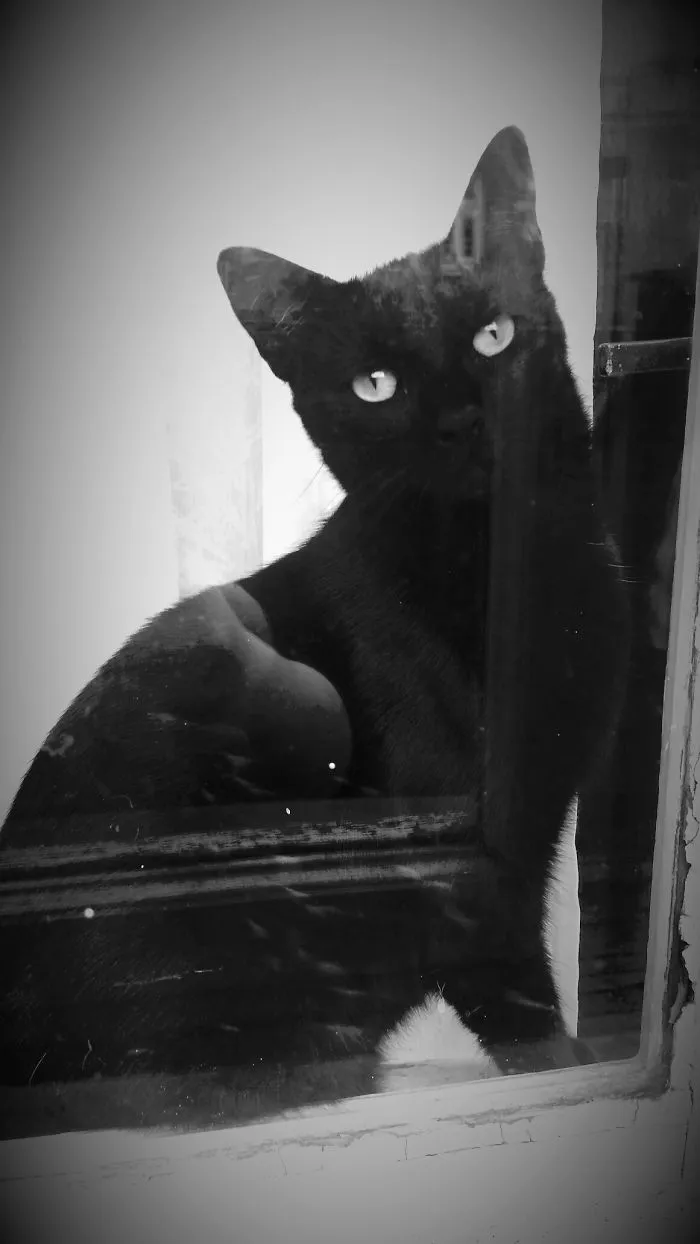Lilith