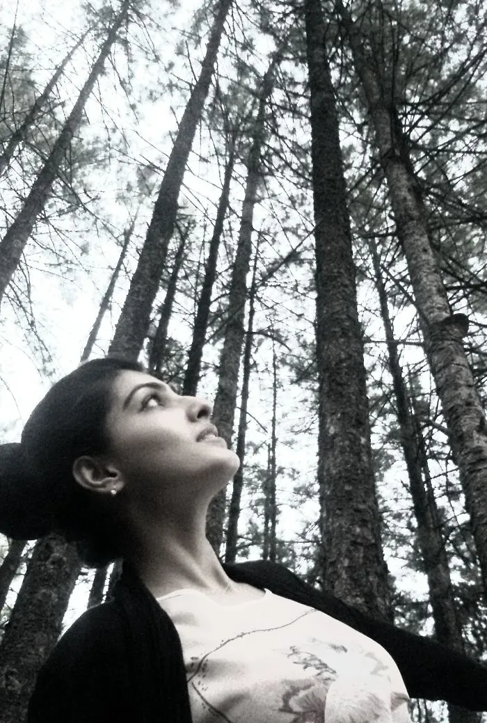 Lost In Forest