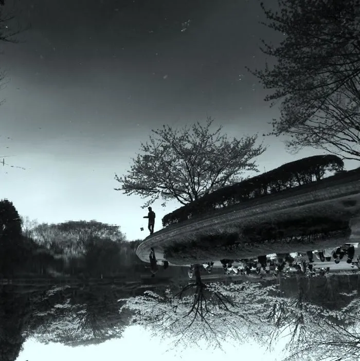 Japanese Garden, Tokyo