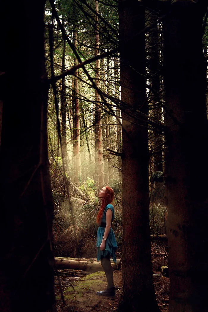 Under The Canopy