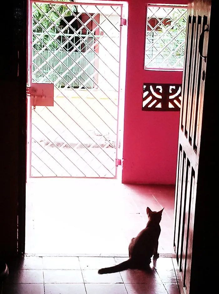 Kurama Sama Waiting For Mommy - Nicaragua