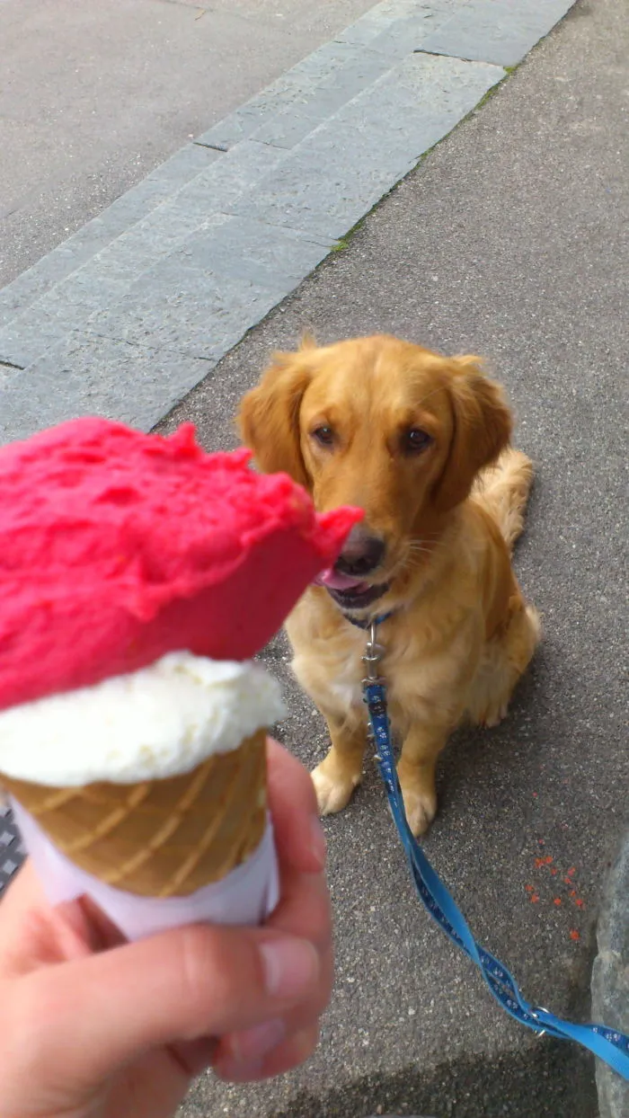 Ice Cream