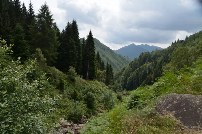 Alpe Noveis