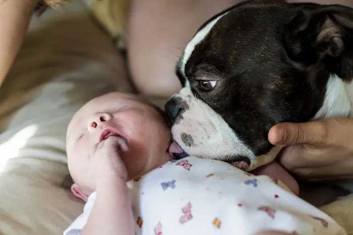 Clovis &amp; The New Baby