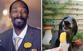 133 Things That Are Hilariously Similar To Each Other
