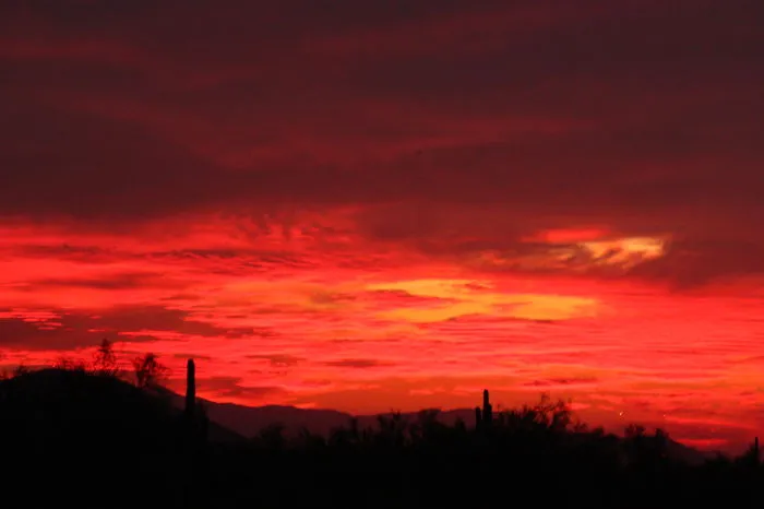 Phoenix Sunset