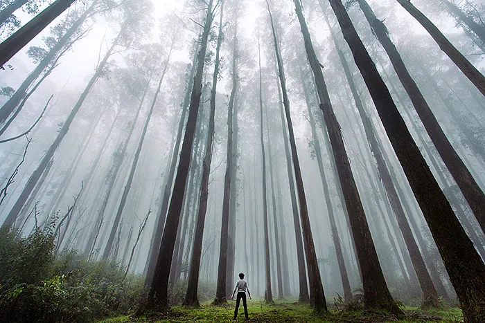 Post Pictures Of Tiny Humans Lost In The Majesty Of Nature 