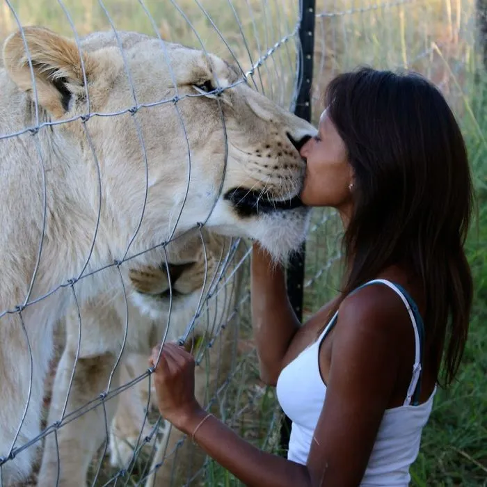 Wild Animals But Also Have Friends And They Love Them