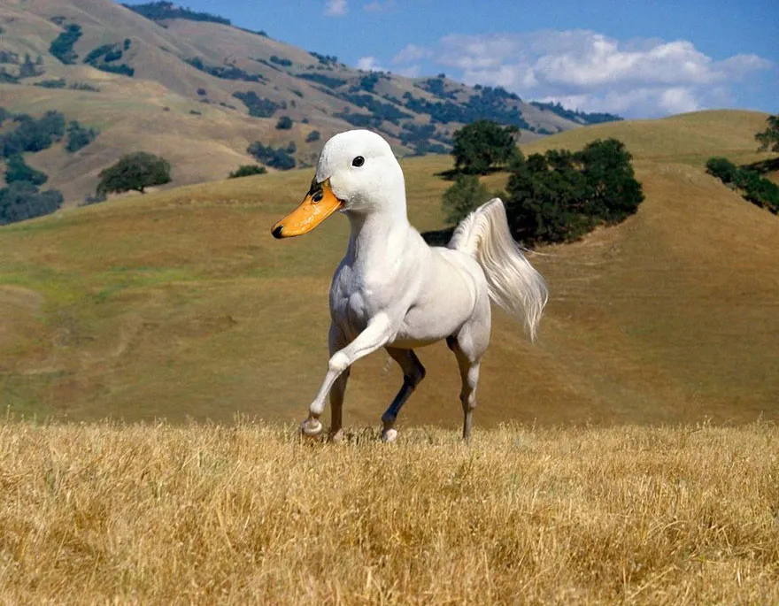 15 New Animal Species Bred in Photoshop