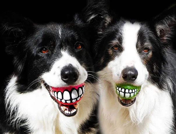 Funny Fetch Ball Gives Your Dog a Hilarious Grin 