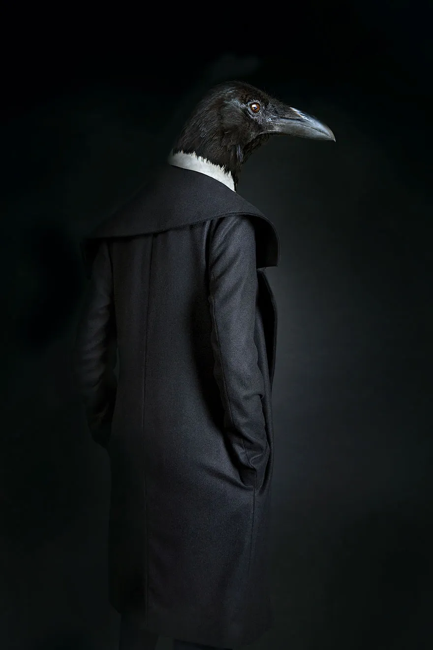 17 Stylish Animals That Dress Better Than You