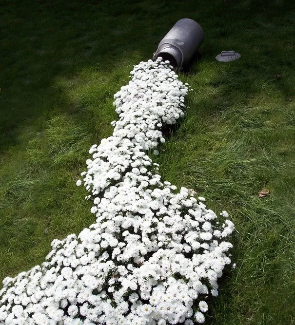 Spilled Flowers