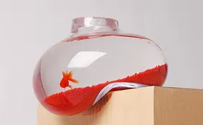22 Unusual and Creative Aquariums