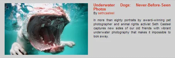 This Week’s Top 5 User Submitted Stories #8