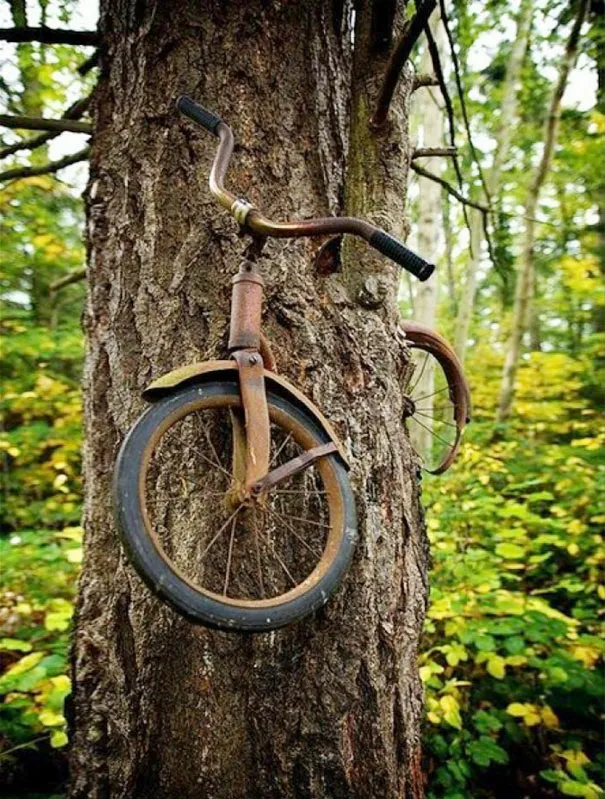 A Boy Chained His Bike When He Went to War in 1914