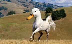 15 New Animal Species Bred in Photoshop