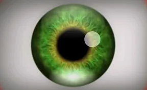 This Trippy Video Will Give You Natural Optical Hallucinations