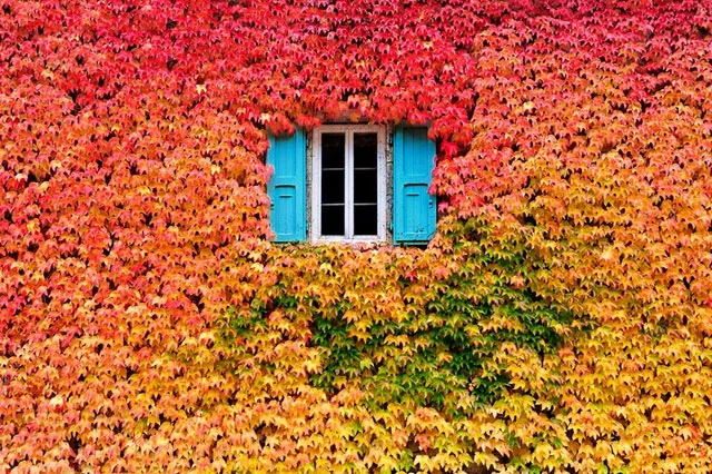 12 Stunning Pictures Celebrating The Beautiful Colors Of Fall