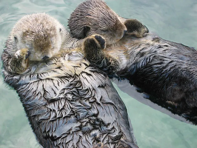 30 Of The Happiest Facts Ever