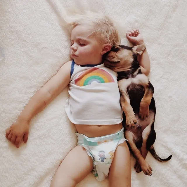 Toddler Takes Daily Naps With His Adopted 2-Month-Old Puppy