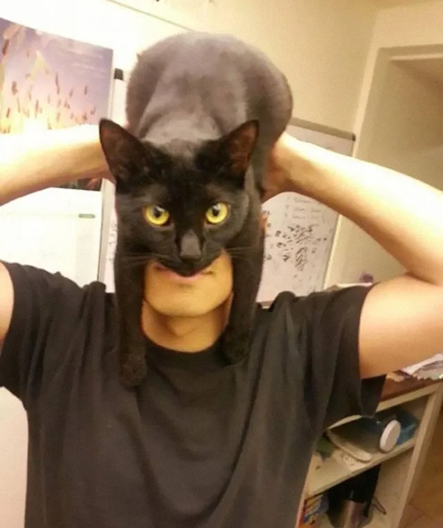 CATMAN: Guy Shows How To Look Like Batman Using Your Cat 
