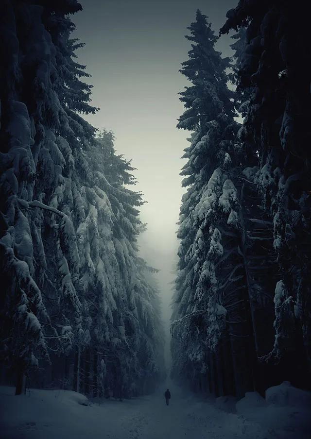 20 Breathtaking Photos Of Winter Landscapes