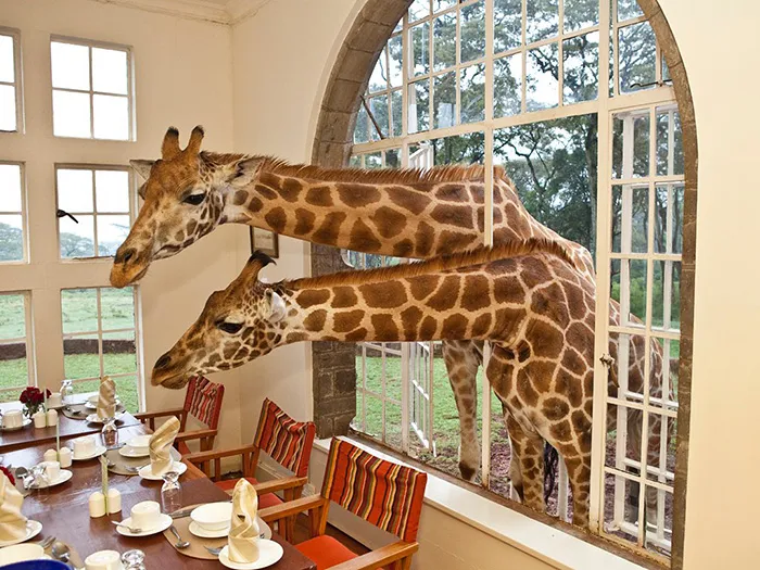 24 Amazing Hotels You Would Rather Be Sitting In Right Now