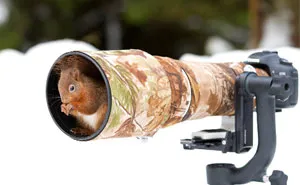 Animals Getting Comfortable With Camera Gear