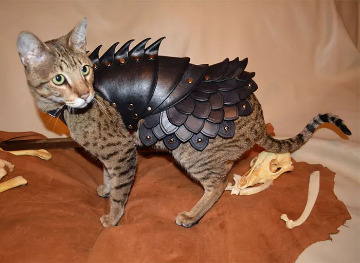 This Leather Cat Battle Armor Will Help Felines Enslave Humanity