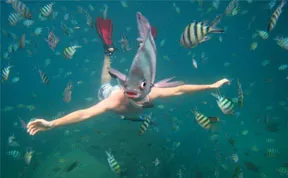 33 More Perfectly Timed Photos
