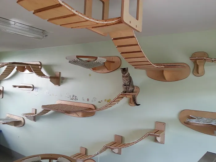 21 Furniture Ideas for Pet Lovers And Their Furry Friends