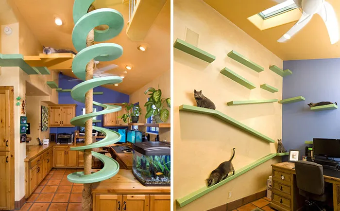 Man With 18 Cats Spends $35,000 On Turning His Home Into A Cat Paradise