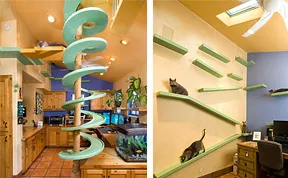 Man With 18 Cats Spends $35,000 On Turning His Home Into A Cat Paradise