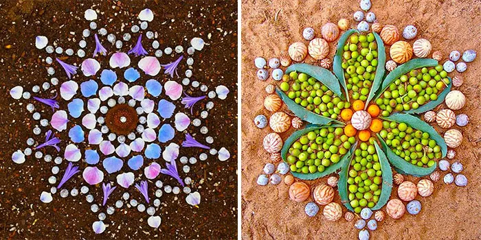 Colorful Mandala Designs Made From Flowers And Plants By Kathy Klein