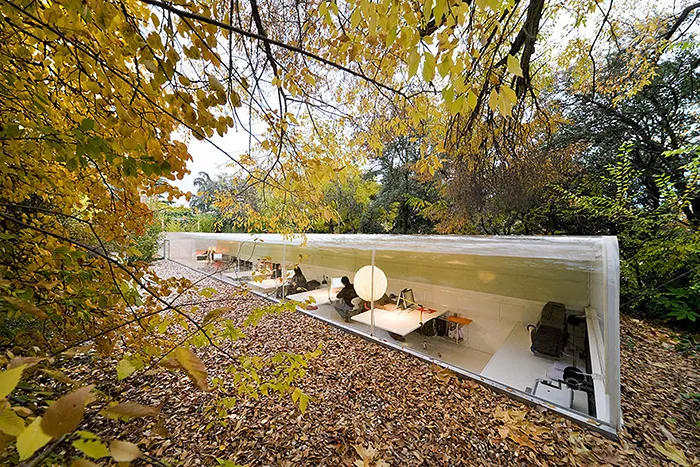 Office In Madrid Lets Employees Feel Like They're Working in the Woods