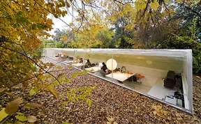Office In Madrid Lets Employees Feel Like They're Working in the Woods