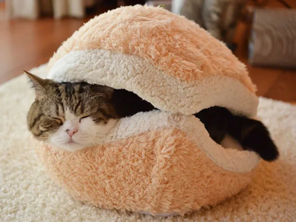 This Cat Burger Bed Will Turn Your Cat Into An Adorable Burger Patty